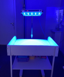 Лампы для лечения желтушки в аренду в Ярославле